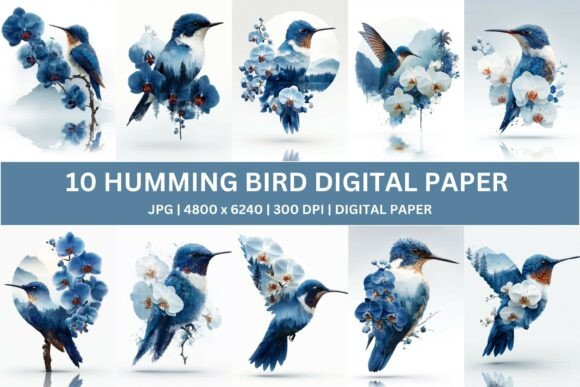 10 Blue Orchid Hummingbird Digital Paper: Elevate Your Creative Projects with Ethereal Beauty